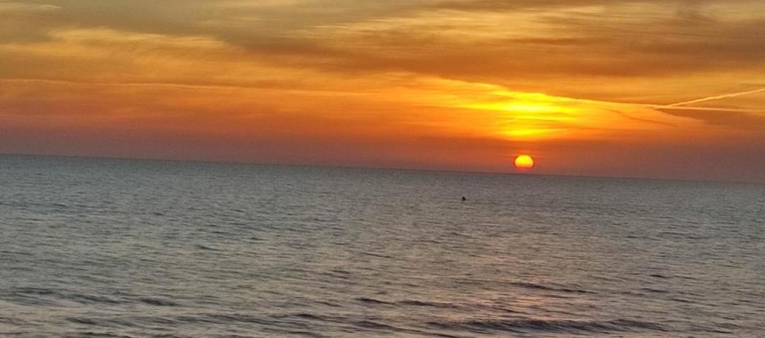 Apartamento Entero Primera Linea De Playa, Pet Friendly Tavernes de Valldigna Zewnętrze zdjęcie